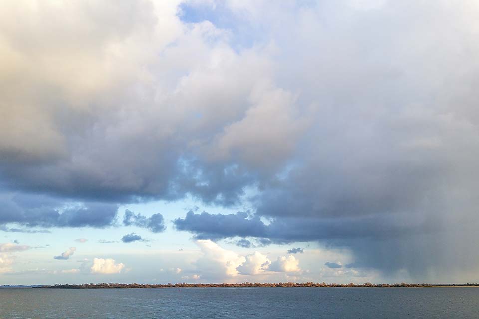 Een nieuwe website voor Carla Trappenburg